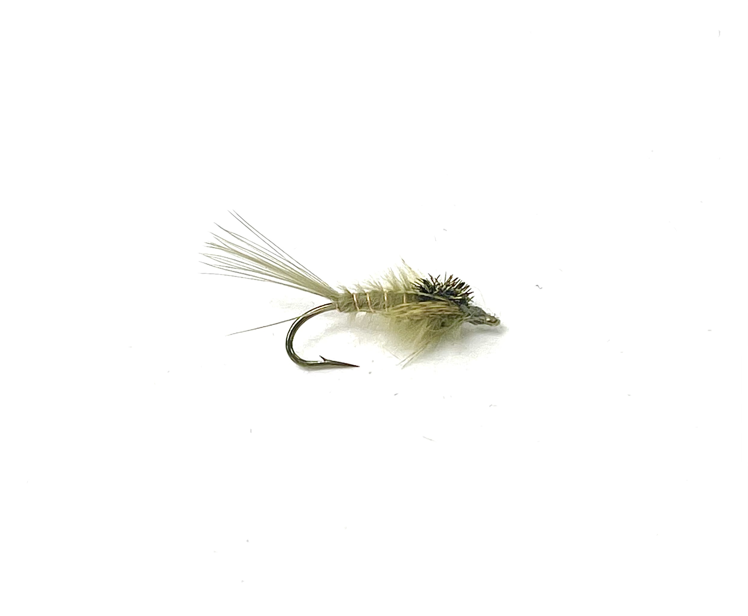 Callibaetis Nymph